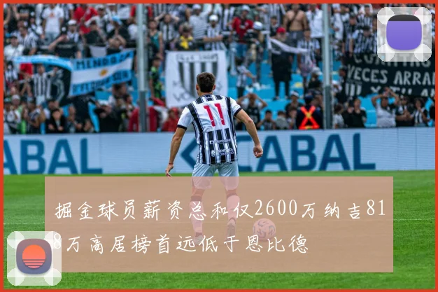 掘金球员薪资总和仅2600万纳吉818万高居榜首远低于恩比德