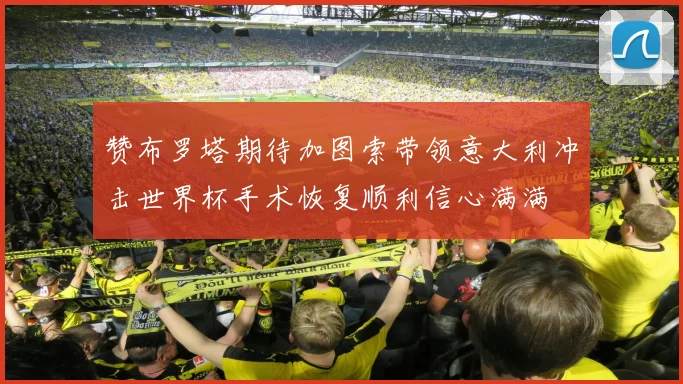 赞布罗塔期待加图索带领意大利冲击世界杯手术恢复顺利信心满满