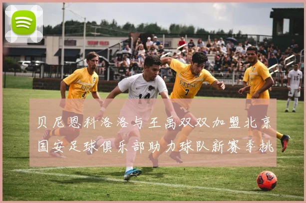 贝尼恩科洛洛与王禹双双加盟北京国安足球俱乐部助力球队新赛季挑战